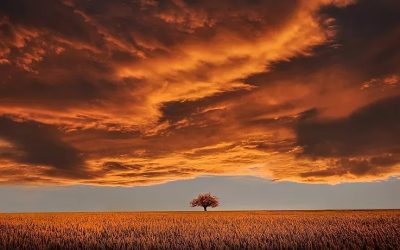 La prima di tutte le passioni
